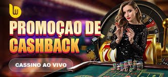 bjd33